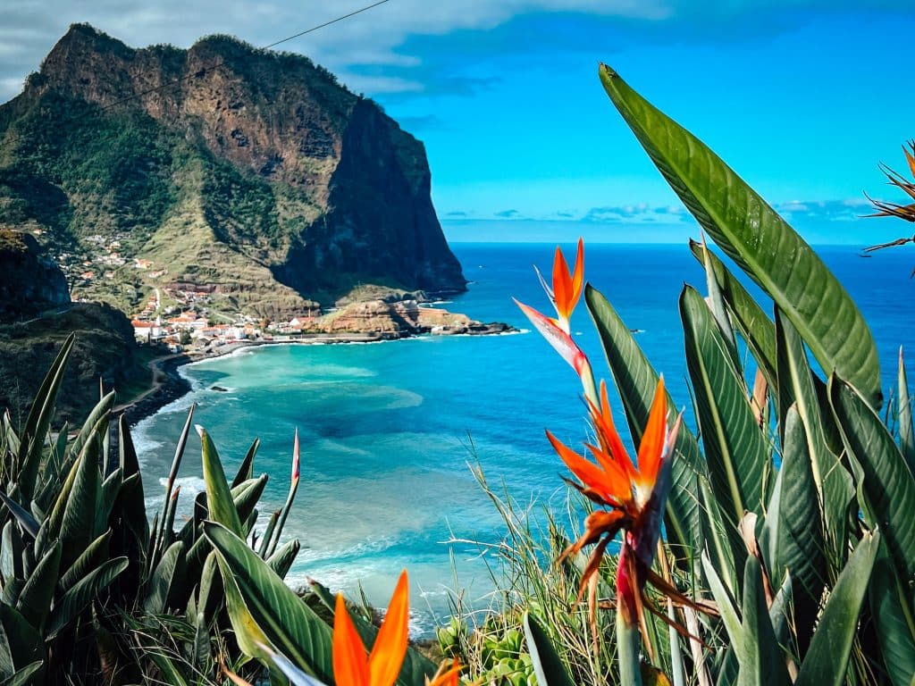 Penha d’Águia and bird-of-paradise flowers on Madeira’s north coast
