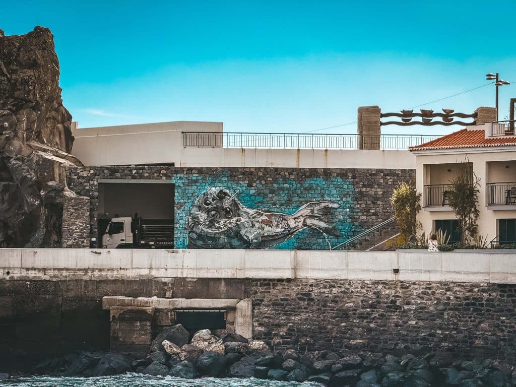 A large mural on a stone wall above the water showing a monk seal in turquoise tones, made from scrap metal in the style of the artist Bordalo II, with a rocky cliff on the left.
