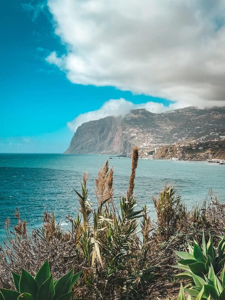 The massive Cabo Girão cliff rising above a turquoise ocean, partly covered in cloud, with plants in the foreground and buildings on the slope.