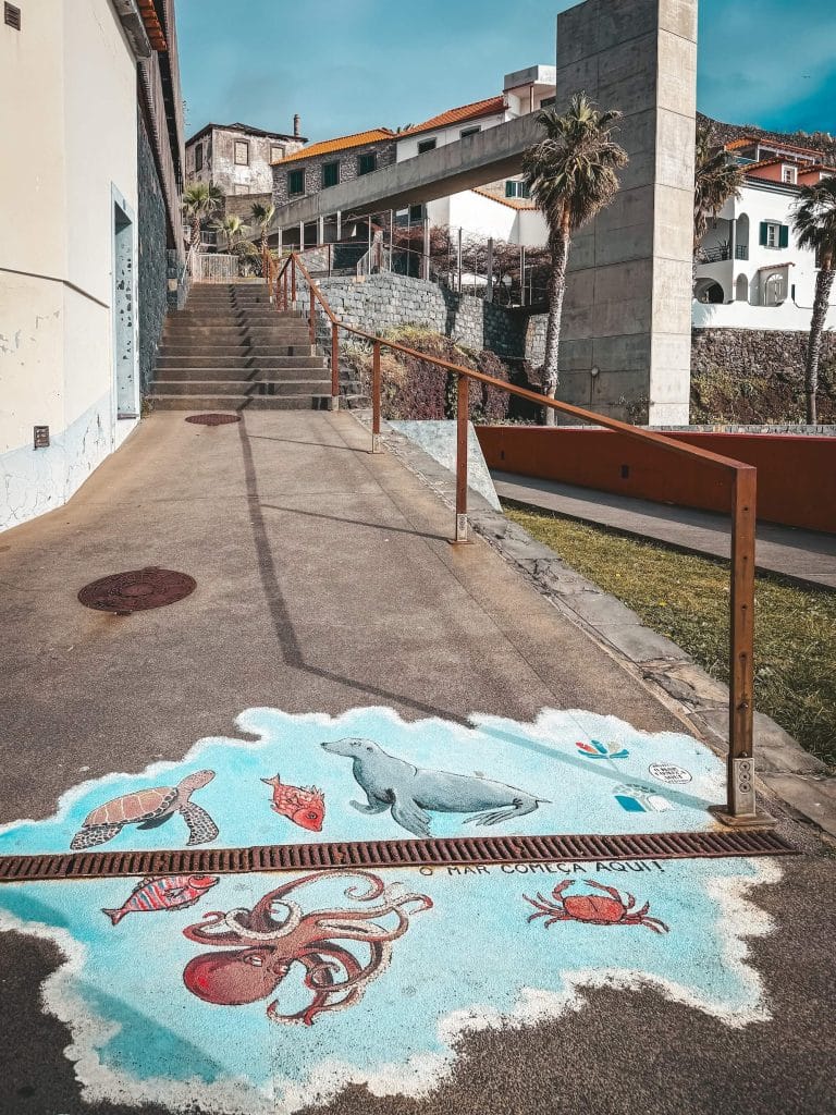 A colourful pavement mural showing a monk seal, an octopus, a sea turtle, a fish and a crab with the words “O mar começa aqui!”, with steps and the town’s buildings behind.
