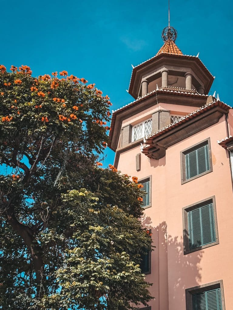 A building with a tower and a flowering tree in central Funchal