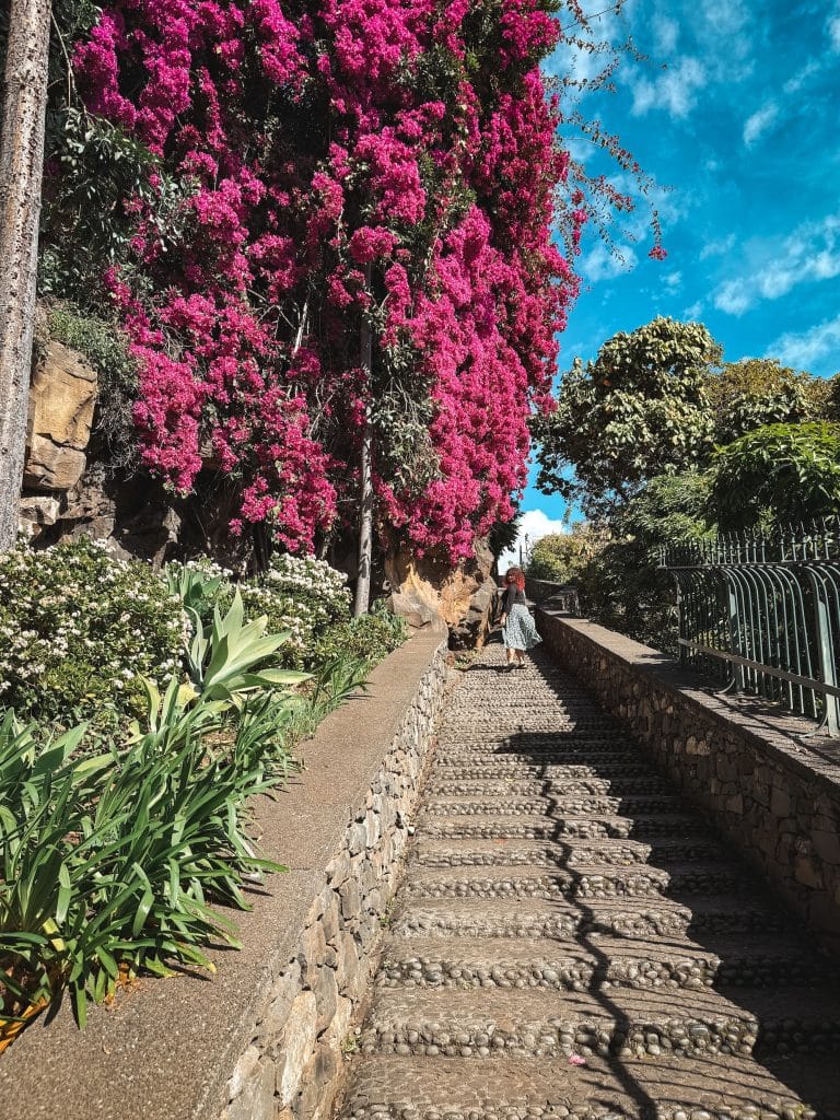 Entrance to Santa Catarina park
