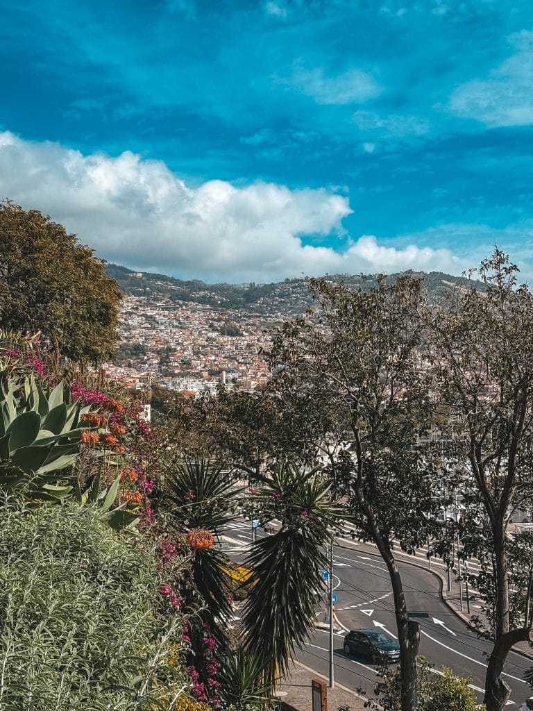 View from Santa Catarina park