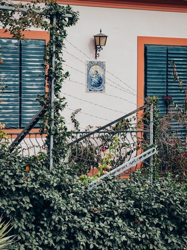 A white house with azulejos and an ivy-covered balustrade in Funchal