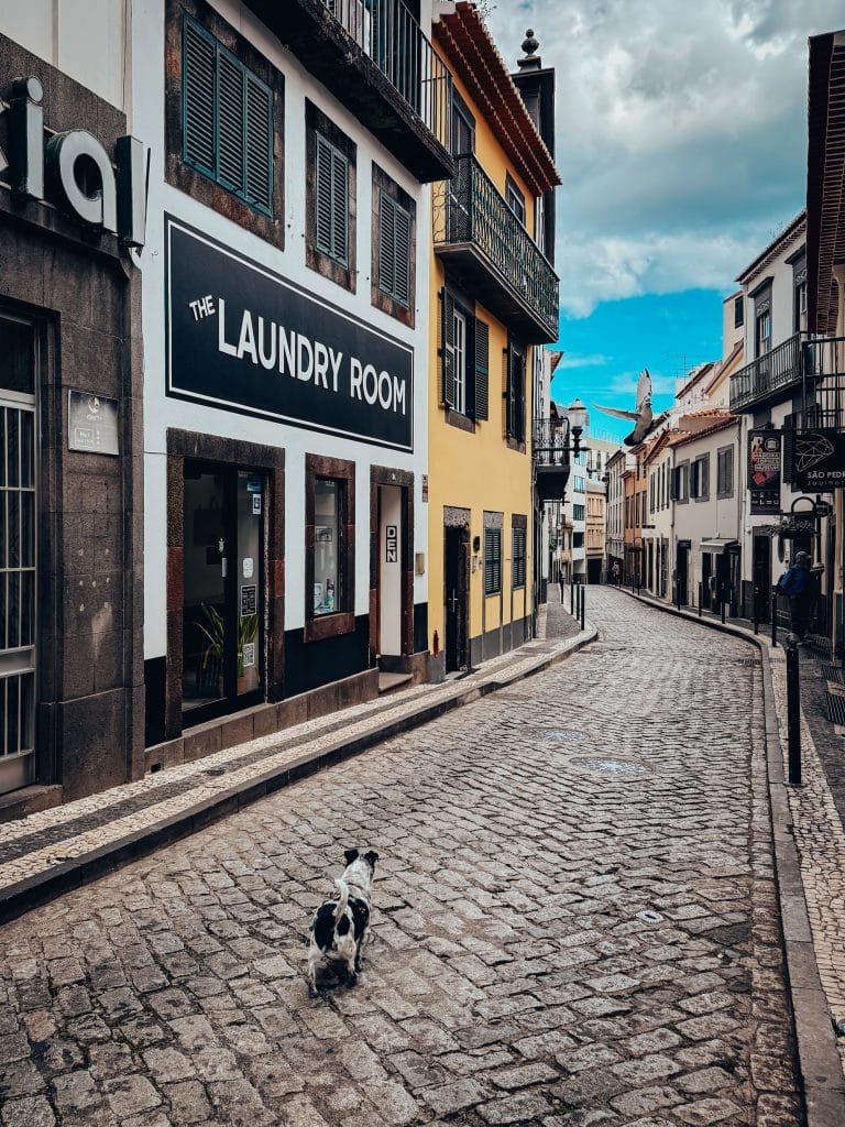 A cobbled lane in central Funchal