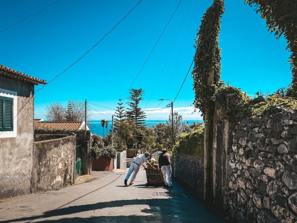 Monte toboggans, photo: Ewelina Podrez-Siama 2026