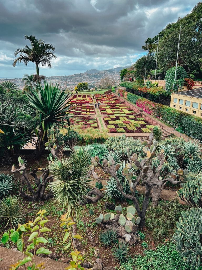 Jardim Botânico – the botanical garden in Funchal, photo: Ewelina Podrez-Siama 2023