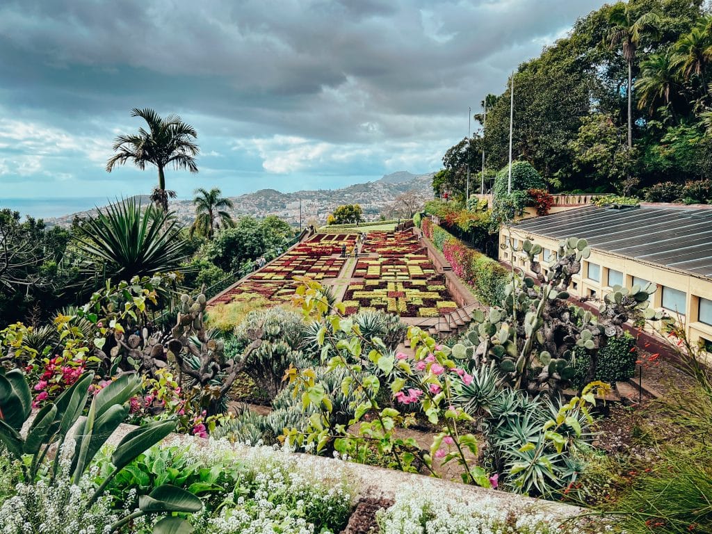 Jardim Botânico – the botanical garden in Funchal, photo: Ewelina Podrez-Siama 2023