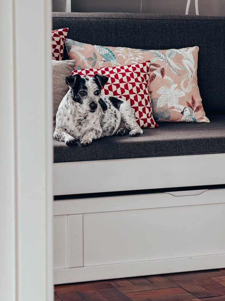 Dog-friendly apartments in Funchal - ASPA Studios, photo: Ewelina Podrez-Siama 2025