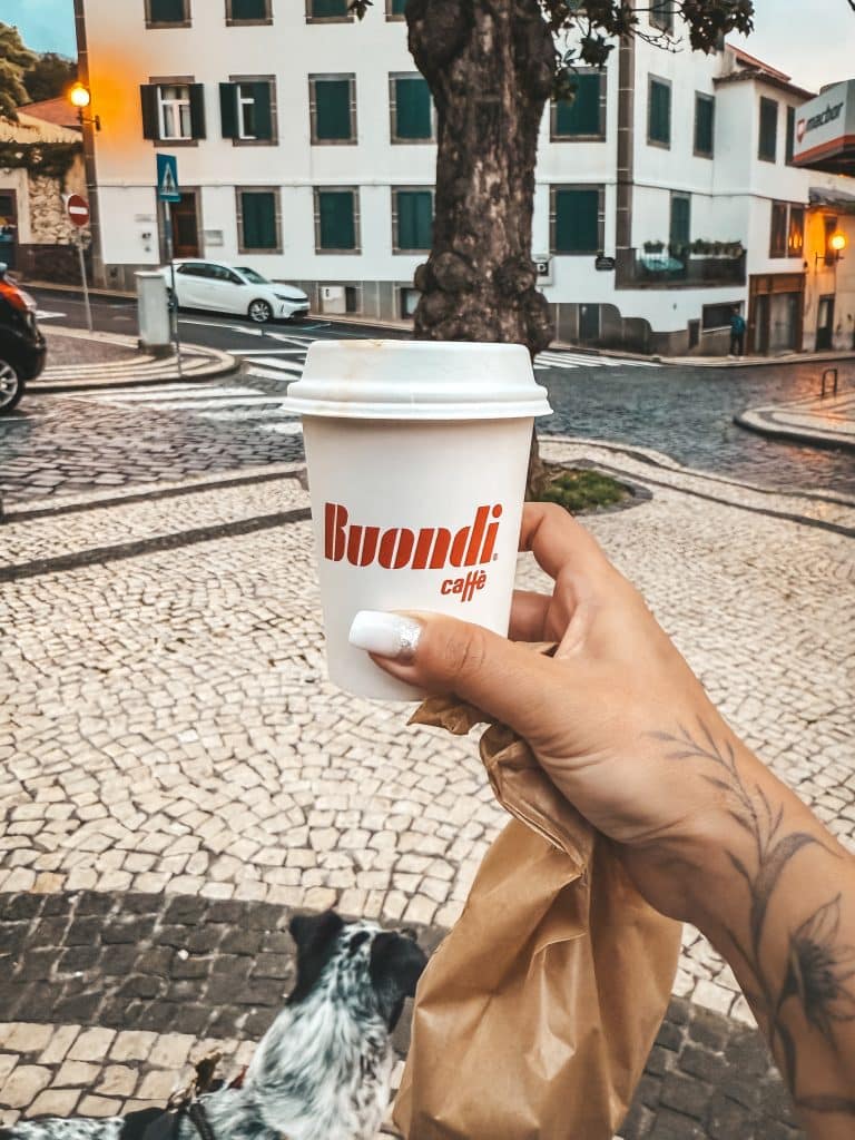 Funchal with a dog, photo: Ewelina Podrez-Siama 2025
