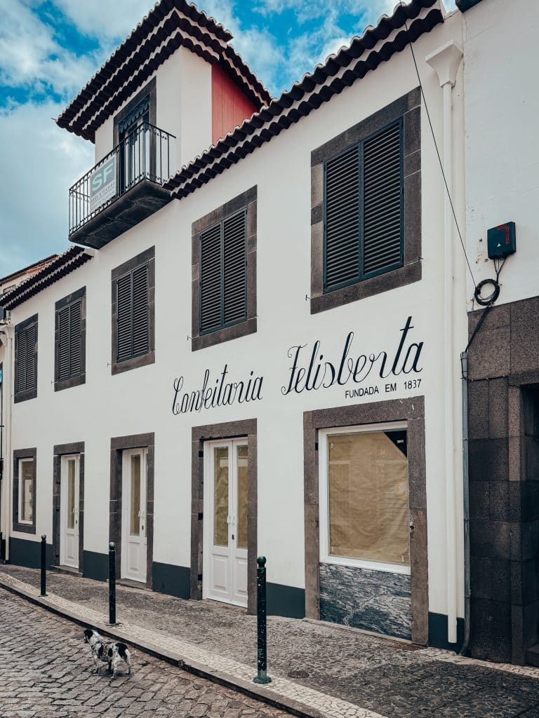 Funchal with a dog, photo: Ewelina Podrez-Siama 2025
