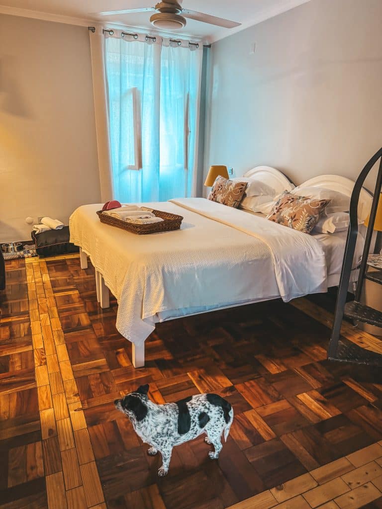 Dog-friendly apartments in Funchal - ASPA Studios, photo: Ewelina Podrez-Siama 2025