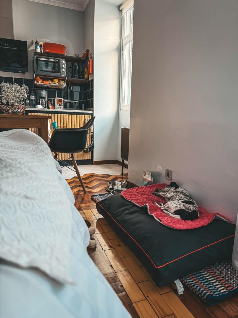 Dog-friendly apartments in Funchal - ASPA Studios, photo: Ewelina Podrez-Siama 2025