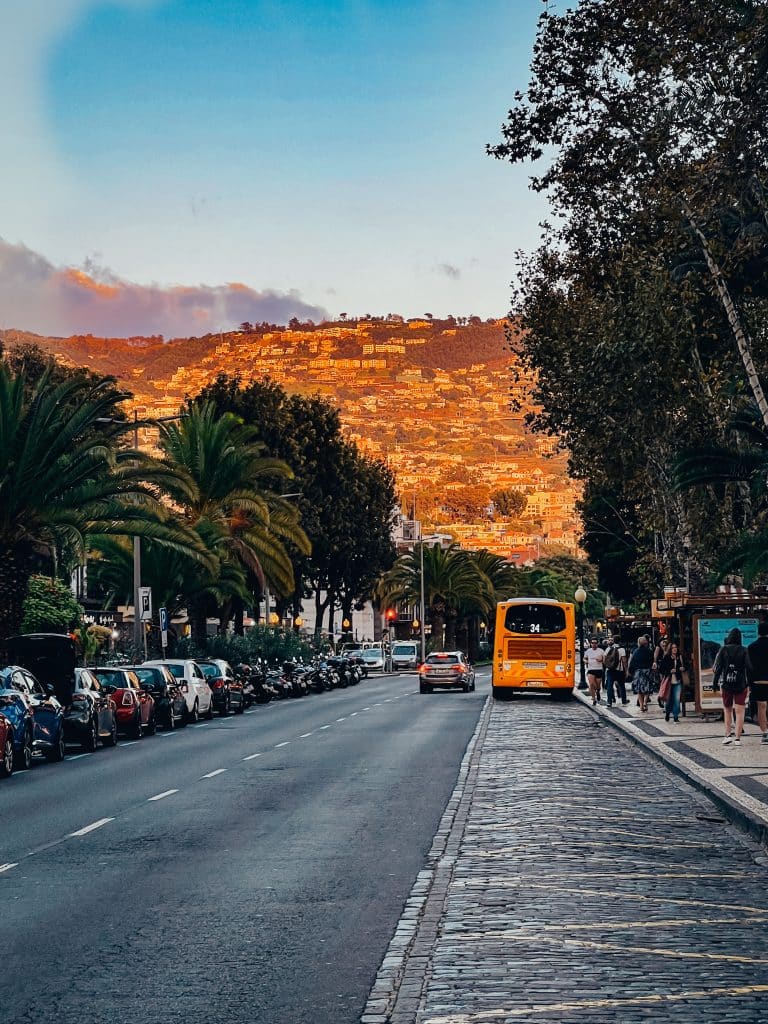 An avenue in Funchal with a yellow city bus at sunset