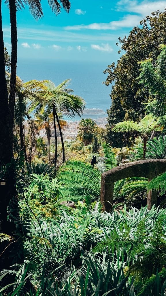 Tropical vegetation at Monte Palace – tree ferns, palms and bird-of-paradise flowers with a view of Funchal and the ocean below. Photo: Ewelina Podrez-Siama 2025