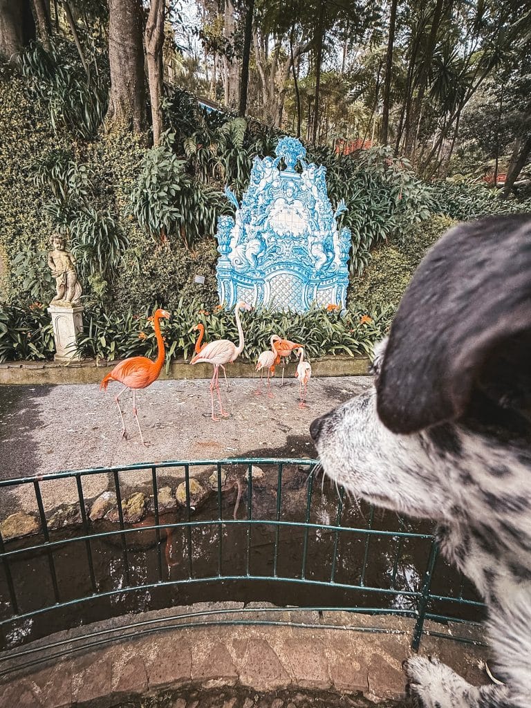 Monte Palace, photo: Ewelina Podrez-Siama, February 2025