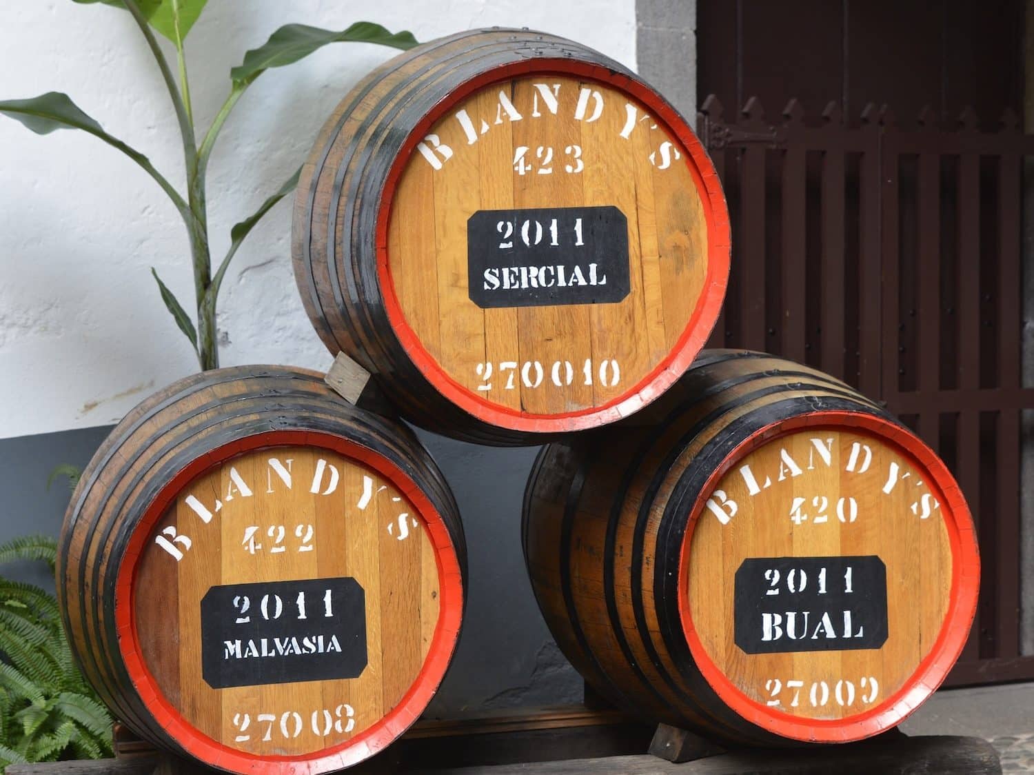 Madeira wine