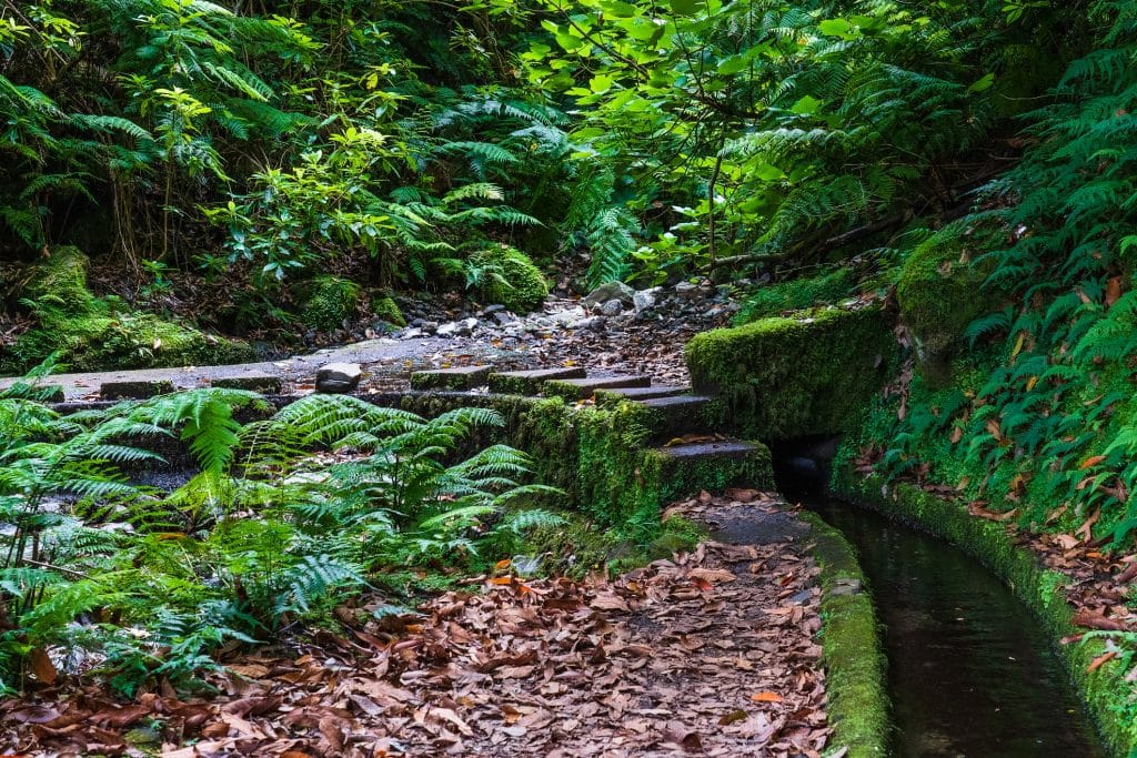 Levada do Rei