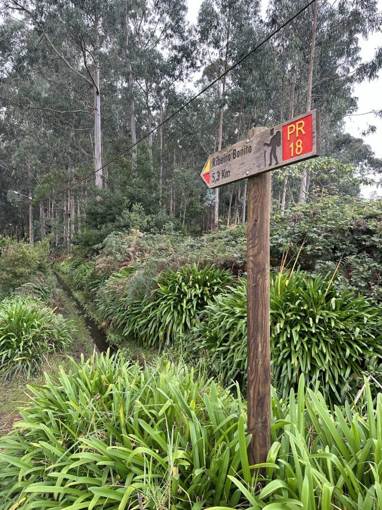 Levada do Rei
