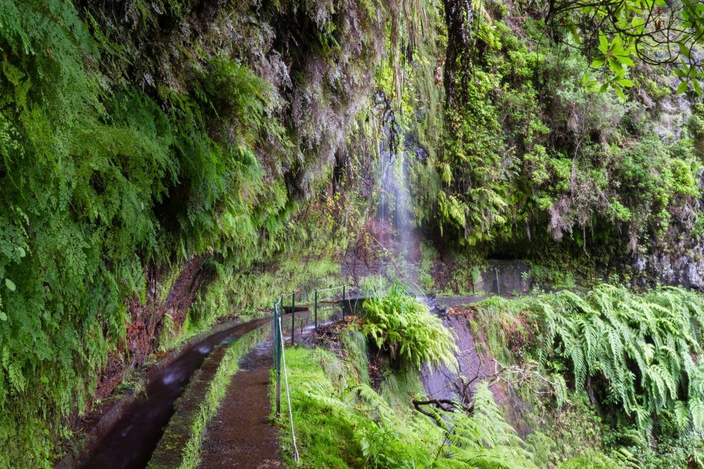 Levada do Rei