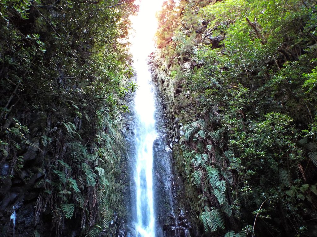 A waterfall pouring down a mossy rock face at 25 Fontes