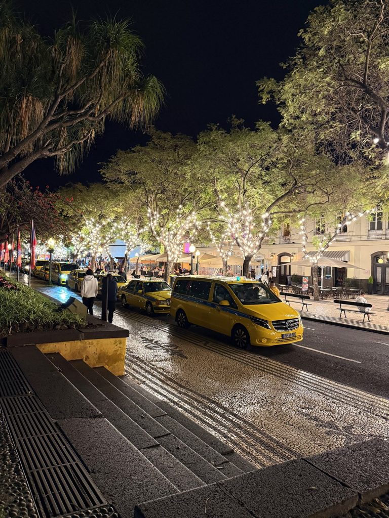 An avenue with trees strung with white lights, yellow taxis on the wet road and a wide pavement in the evening