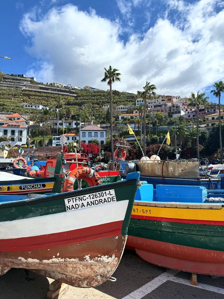 The bows of colourful fishing boats in Câmara de Lobos