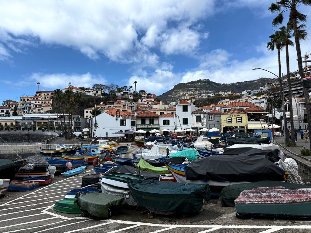 Colourful fishing boats under tarpaulins on the quayside in Câmara de Lobos, with white houses, palm trees and a hillside behind