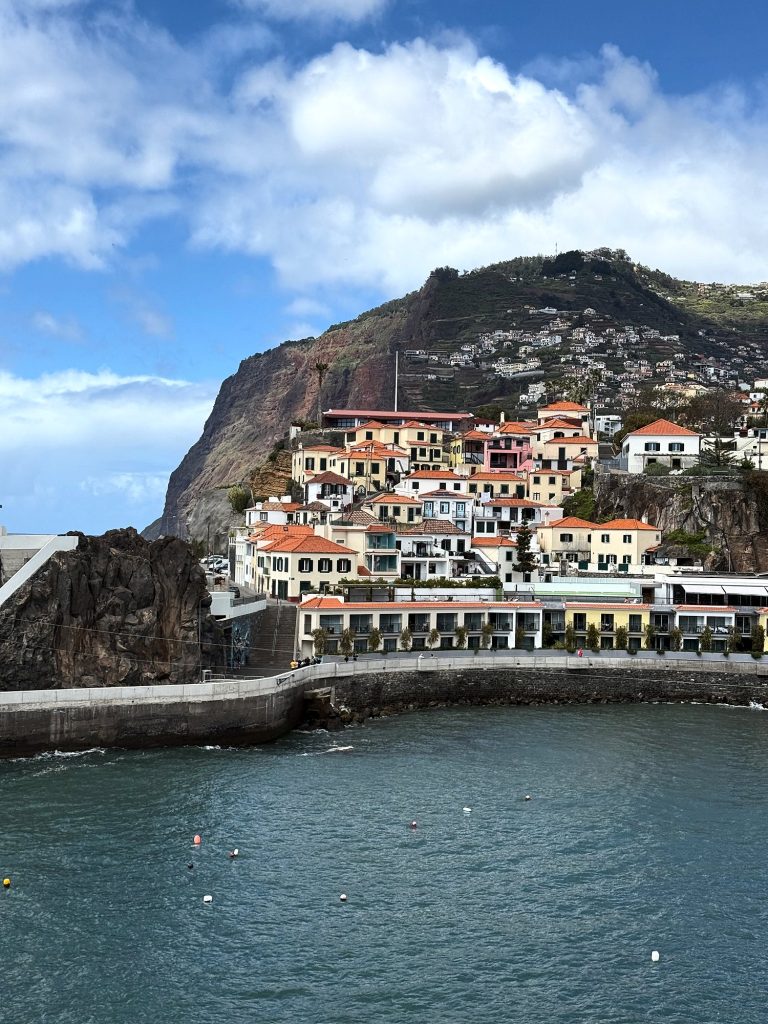 Houses of Câmara de Lobos on the rock above the bay