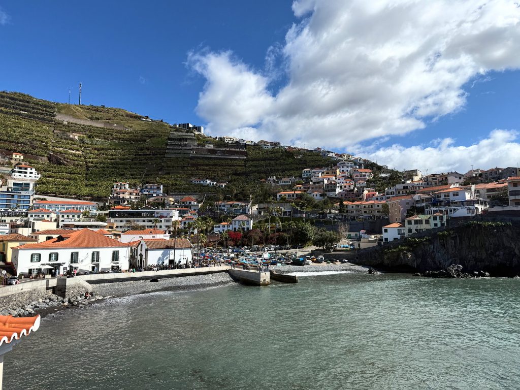 The bay in Câmara de Lobos and terraces on the hillside