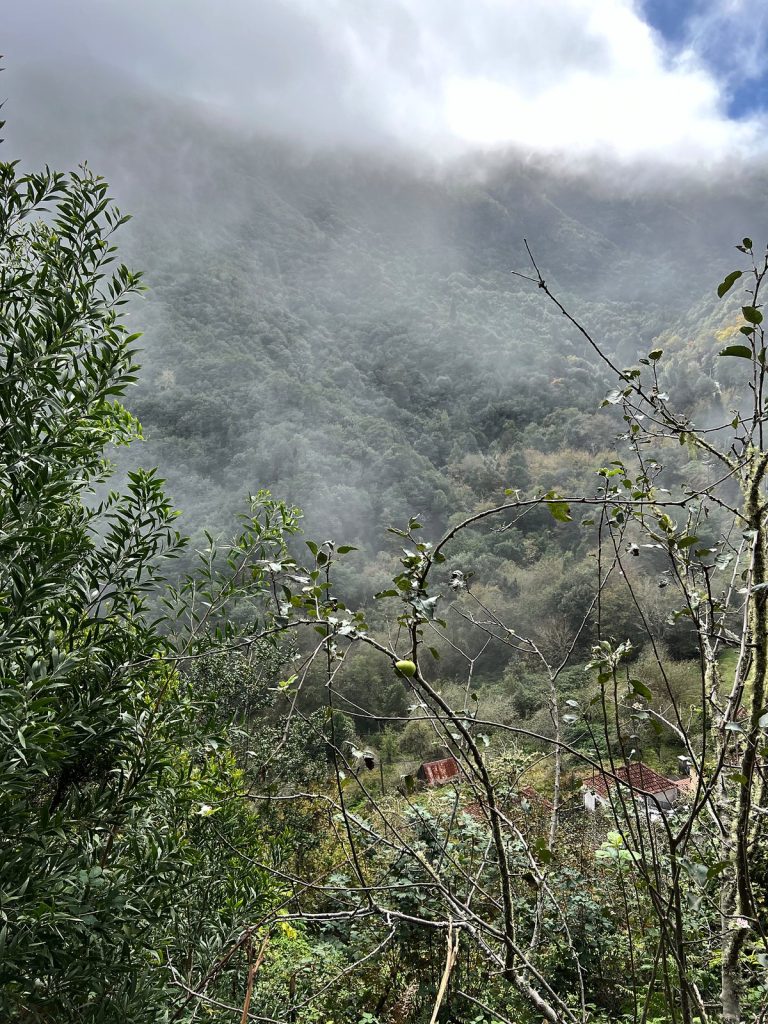 Clouds hanging on a wooded slope, with shrubs and red house roofs in the foreground