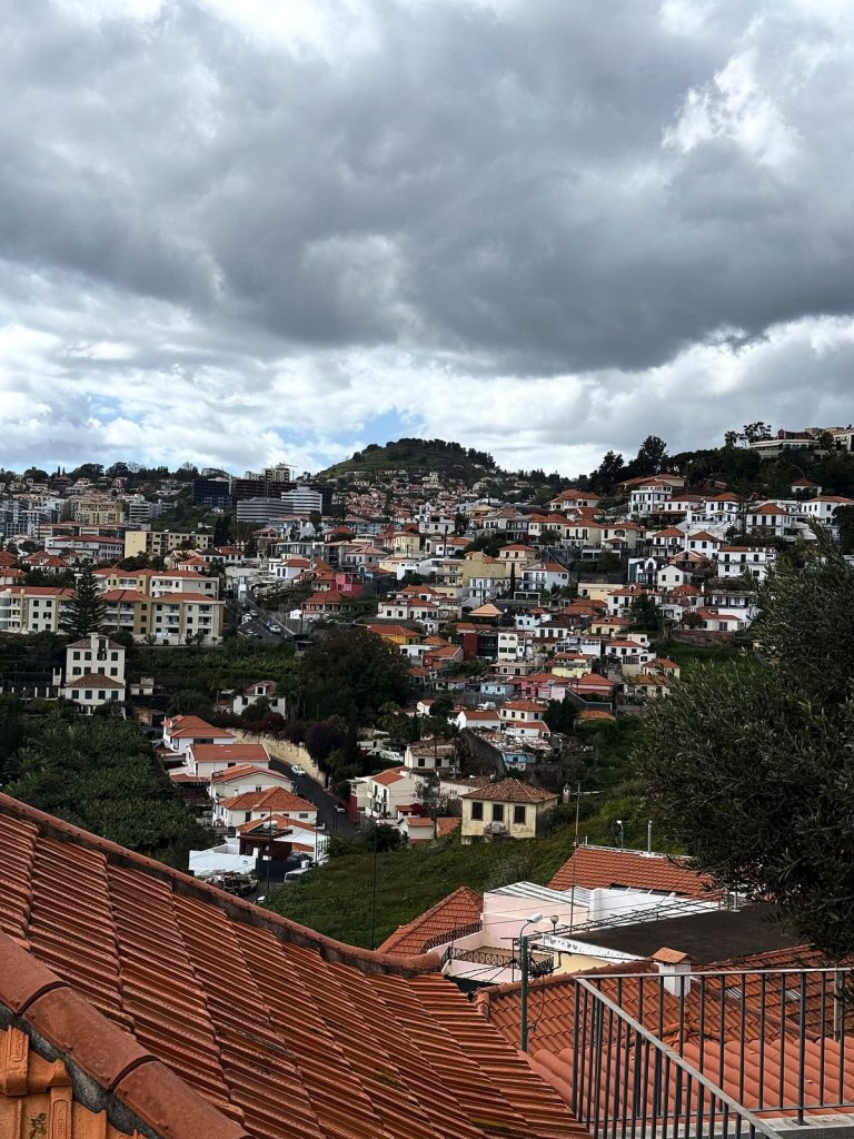 Red roof tiles in the foreground and houses on the hillside above Funchal under a cloudy sky