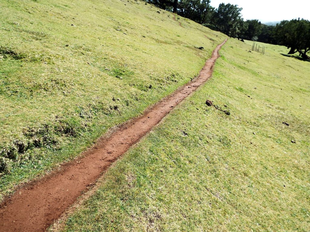A narrow, worn path of red earth running across a green meadow on a slope, with trees in the distance