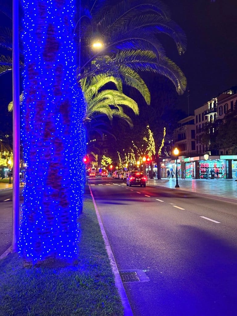 Palm trees wrapped in blue lights along an avenue in Funchal at night