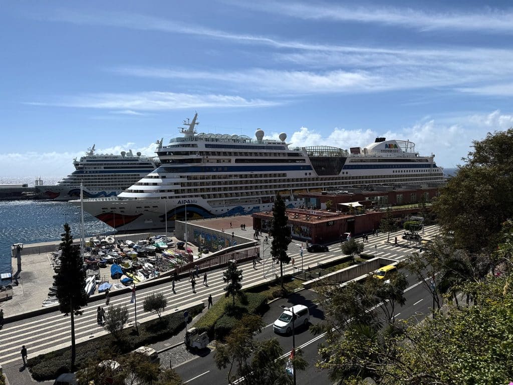 Funchal harbour with cruise ships, seen from a park above the waterfront