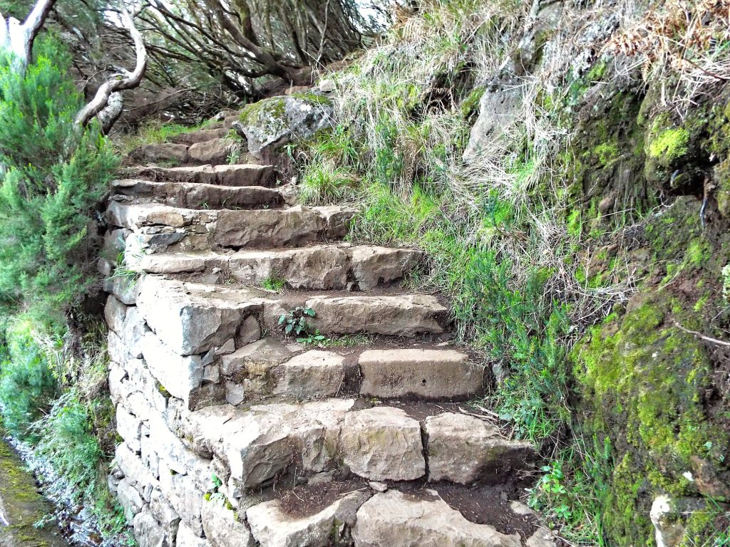 Stone steps on the trail in the laurel forest at Rabaçal