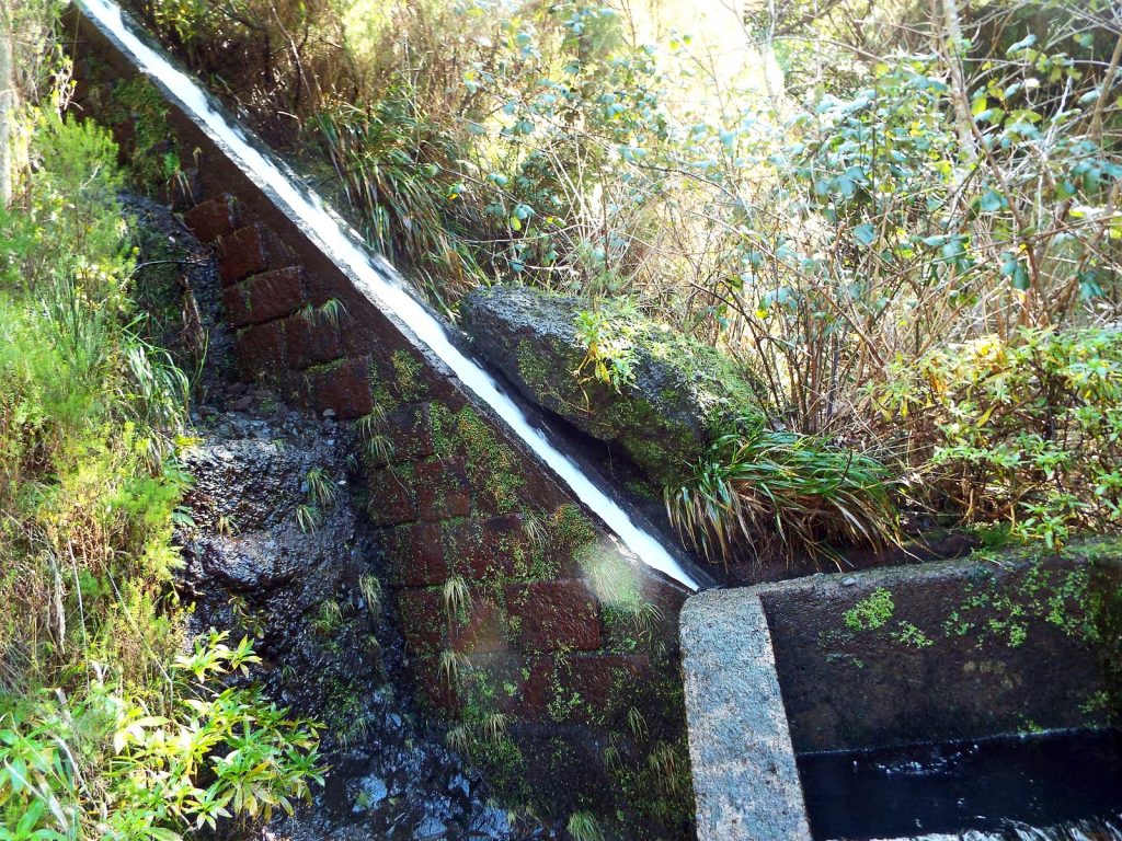 Water runs down a steep chute into a stone levada channel among ferns and shrubs