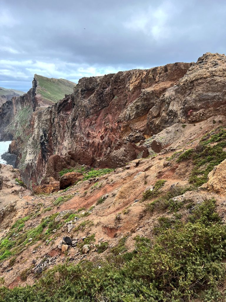 A steep red-brown cliff slope with green clumps of plants, with a rocky ridge above the ocean in the background