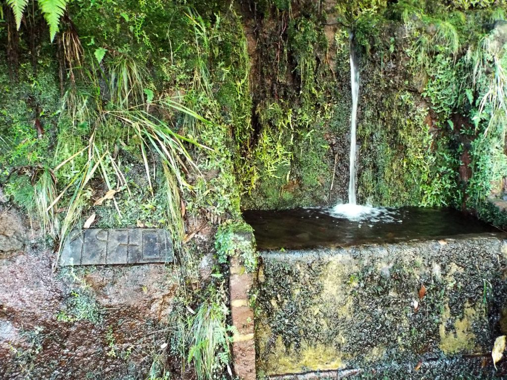 A stream of water falling into a stone levada basin, the wall covered with moss, ferns and grasses