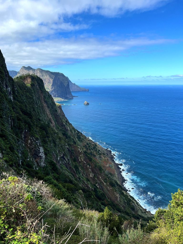 A green, overgrown cliff slope above the ocean, white waves at the shore and rocky headlands in the distance