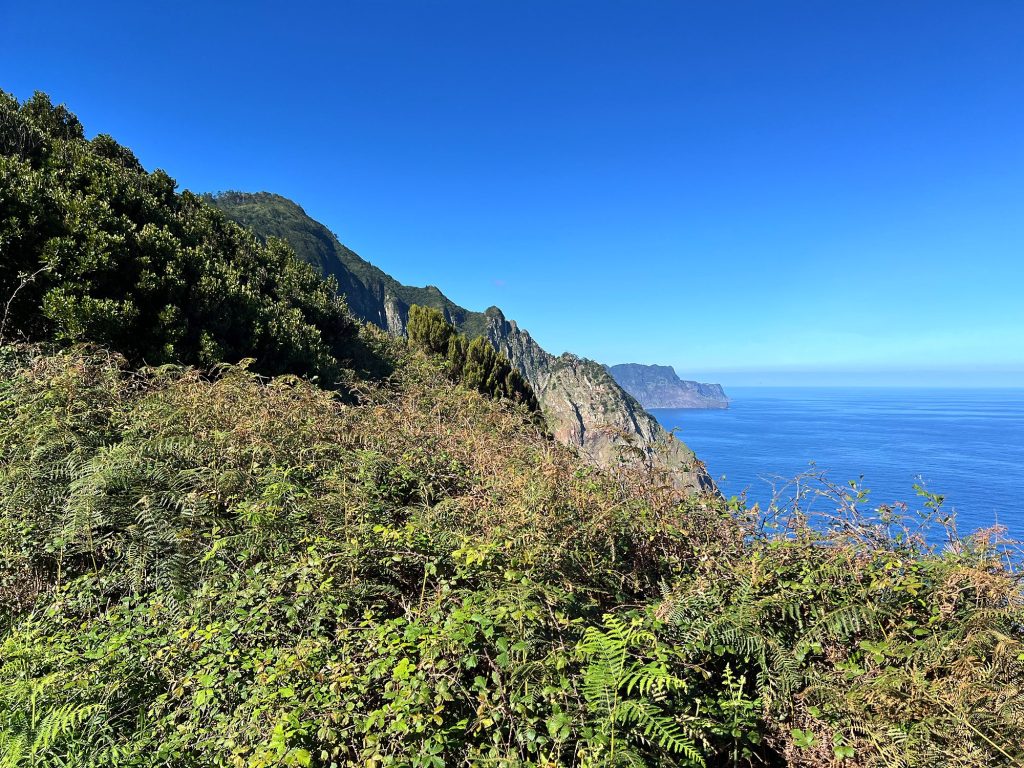 Steep cliffs on Madeira’s north coast dropping into the ocean, with green shrubs in the foreground