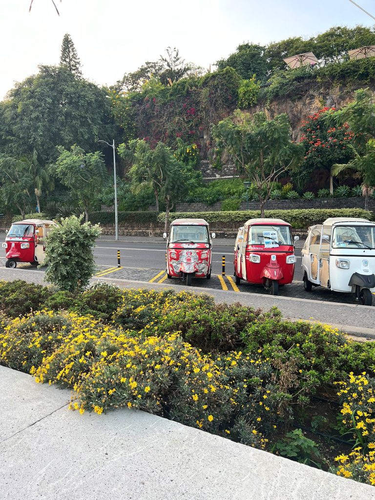 Red and white tuk-tuks parked on a street in Funchal, with shrubs with yellow flowers in the foreground