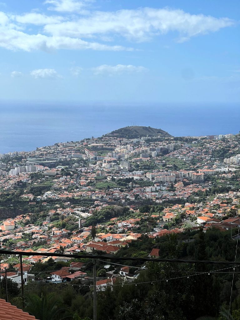 Funchal seen from high up in Monte, buildings on the slopes running down to the ocean, a hill above the bay in the distance, a railing and greenery in the foreground