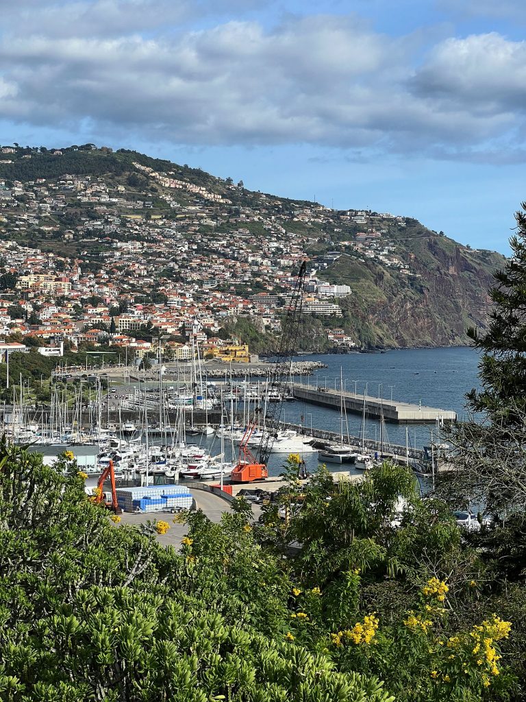 The view from Santa Catarina Park over the marina with yachts and Funchal’s buildings on the slopes, with shrubs with yellow flowers below