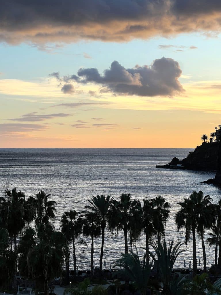 A calm ocean under an orange sunset sky, a rocky headland on the right and palm tops at the bottom