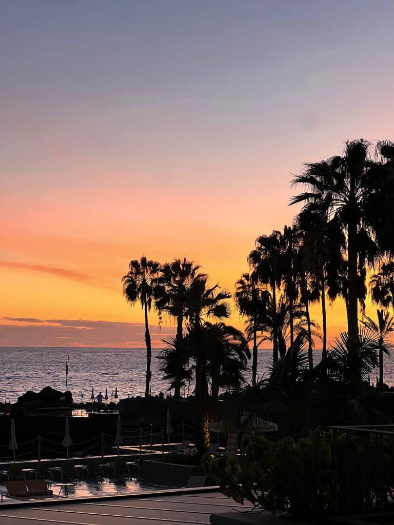 An orange sky over the ocean after sunset, with silhouettes of palm trees in the foreground