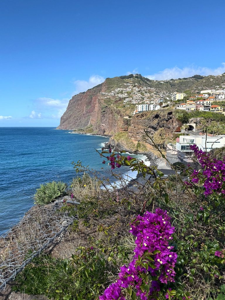 Purple bougainvillea on the edge of a slope, with the Cabo Girão cliff, houses and the ocean behind