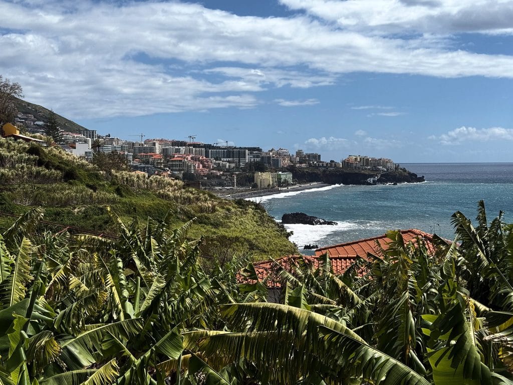 Banana plants on a slope above the ocean, with the hotels of western Funchal, a pebble beach and clouds in a blue sky behind