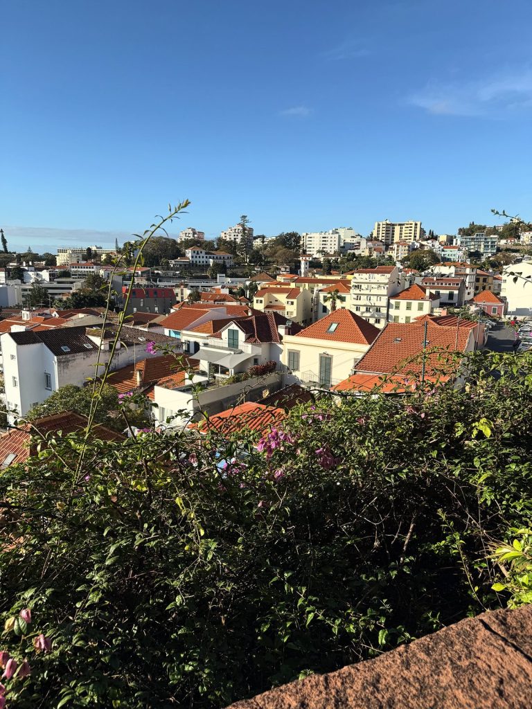 Red roofs of Funchal houses and green shrubs in the morning sun, seen from a viewpoint above the city