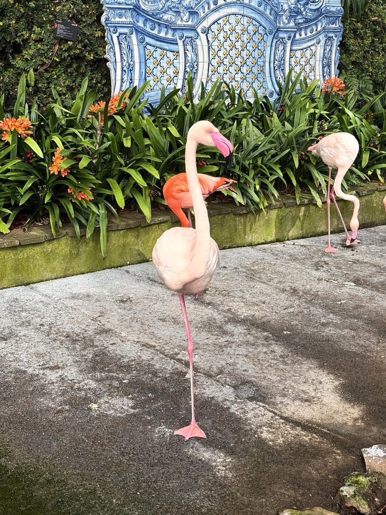 A pink flamingo in front of an azulejo panel in Monte Palace garden